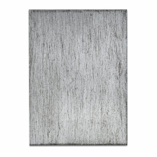 Painted Silver (PC)